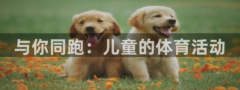 米兰体育场