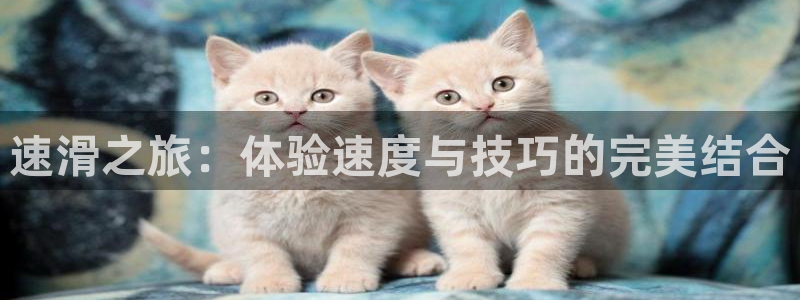 米兰体育官网：速滑之旅：体验速度与技巧的完美结合