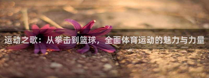 米兰体育最新版下载