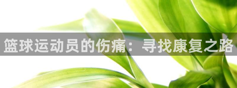 米兰体育中心