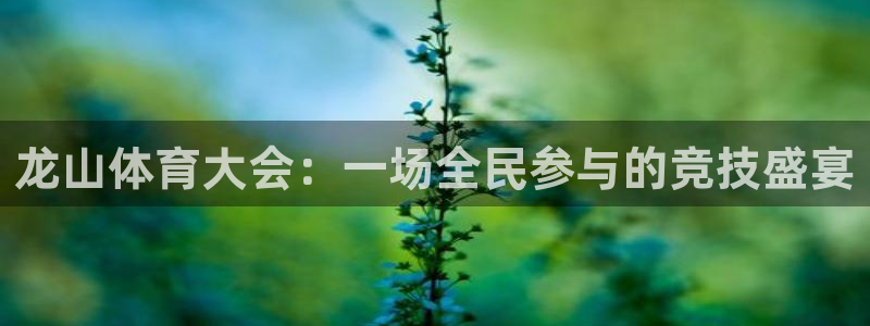米兰体育