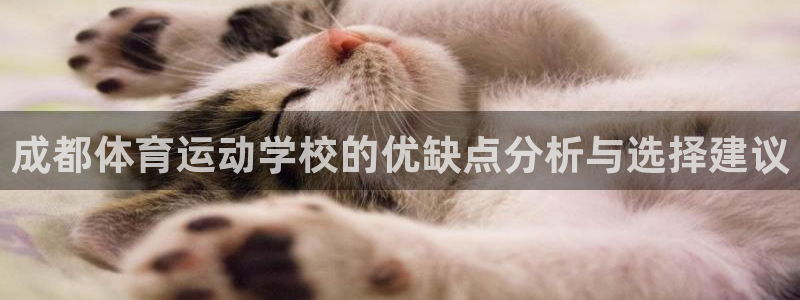 米兰体育最新版下载：成都体育运动学校的优缺点分析与选择建议